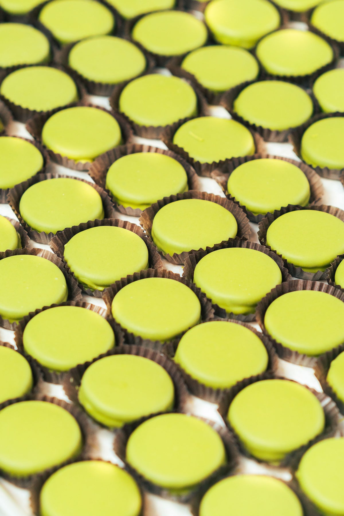 Matcha Chocolate Oreos