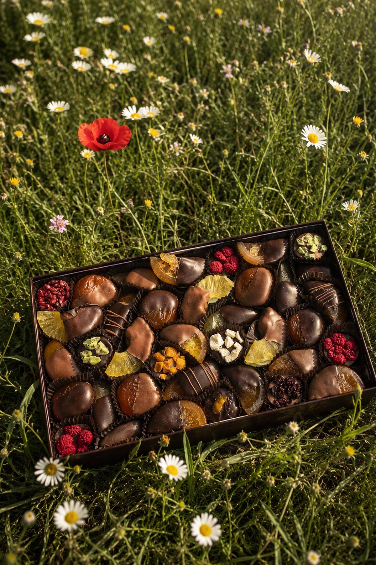 An open box of assorted chocolate dippedf fruits placed on green grass .The gourmet chocolates include dark and milk chocolate pieces with drizzles and fruit garnishes.