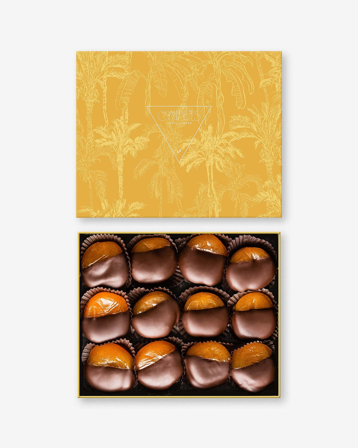 Fine Chocolate Gift Box - Luxury Chocolate Covered Fruit Apricots - made in Los Angeles