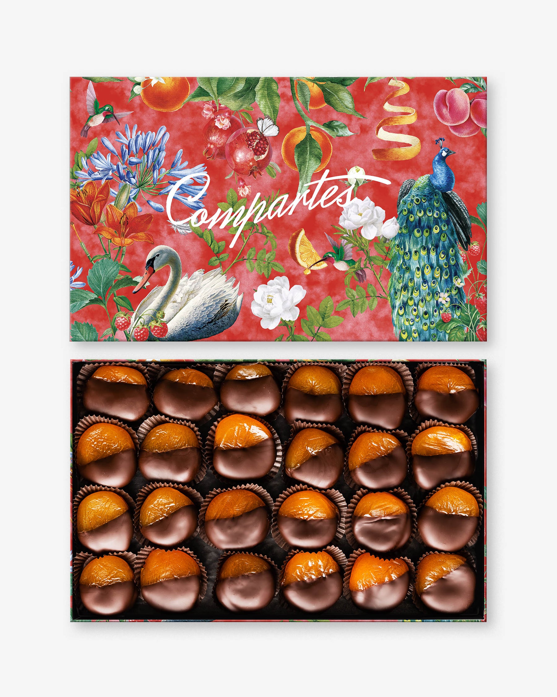 Dark Chocolate Dipped Apricots - Limited Edition Box