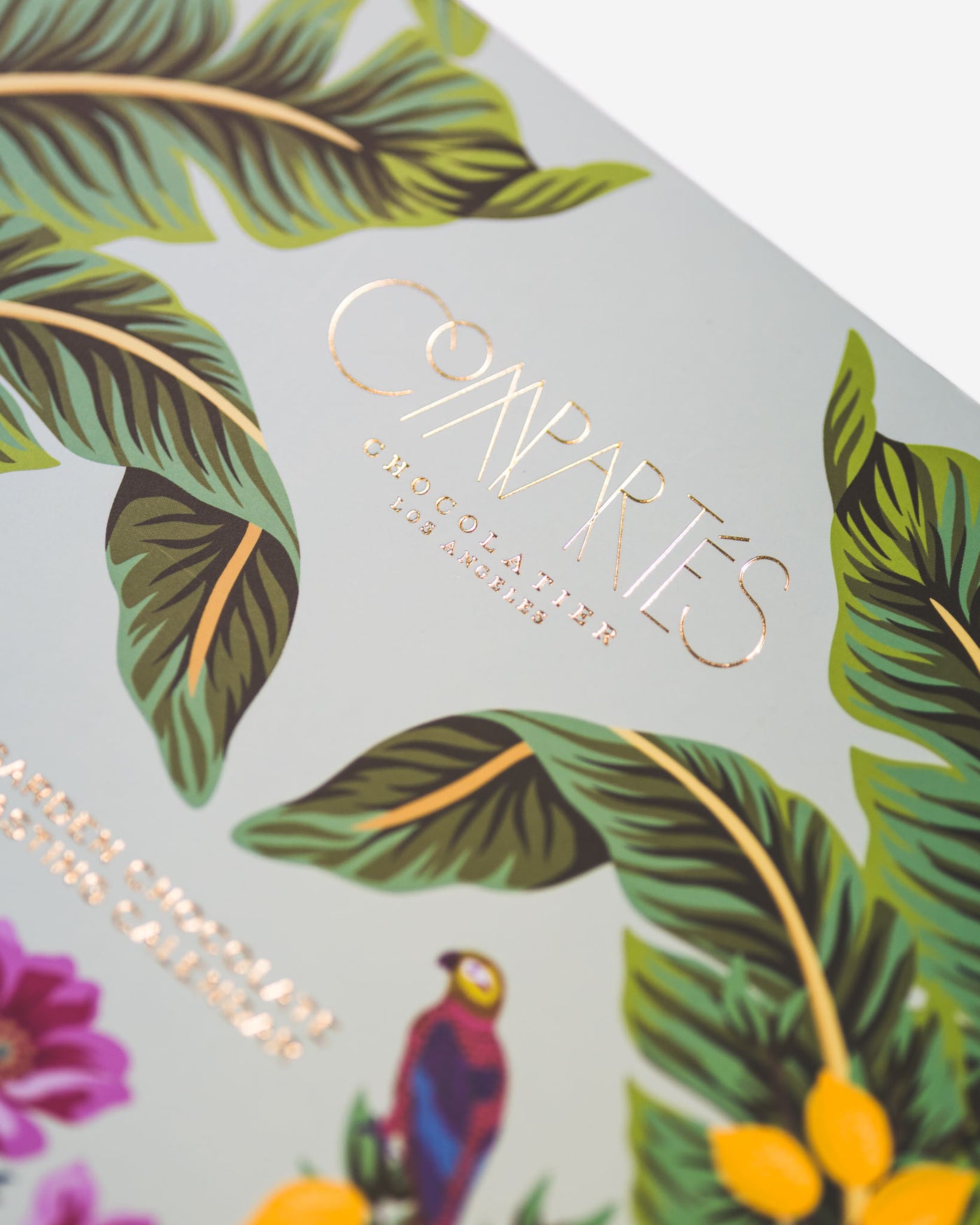 Gourmet Chocolate Advent Calendar Compartes