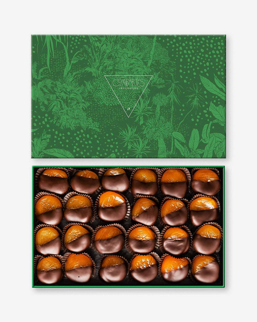 Gourmet Chocolate Gift Box - Luxury Dark Chocolate Covered Fruits - Chocolate Apricots for Gifting